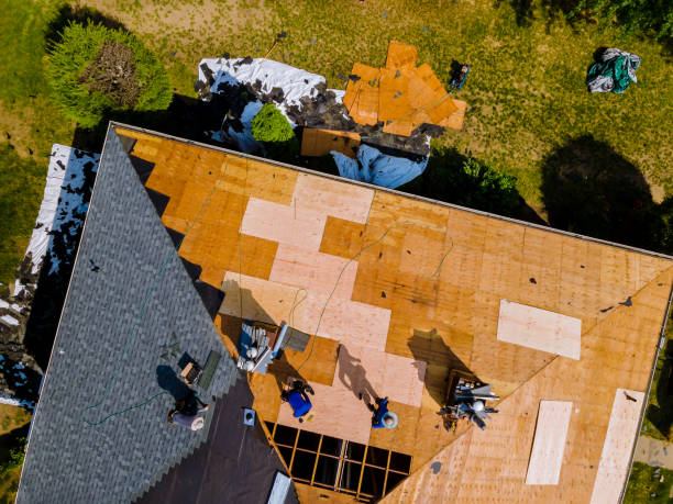 Best Flat Roof Repair Services  in Thonotosassa, FL