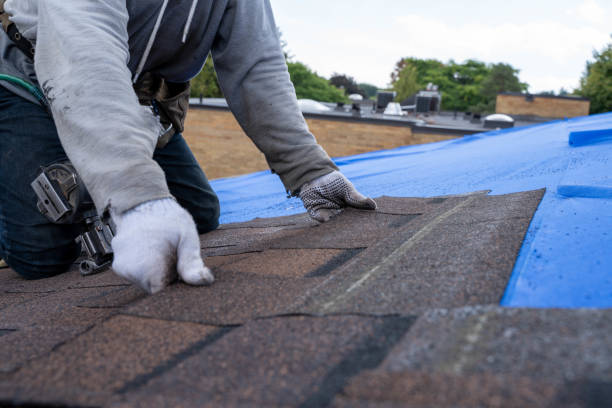Best Residential Roofing Contractor  in Thonotosassa, FL
