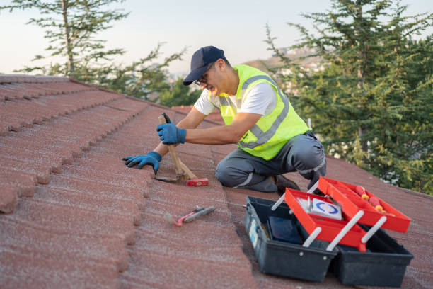 Best Roof Leak Repair  in Thonotosassa, FL